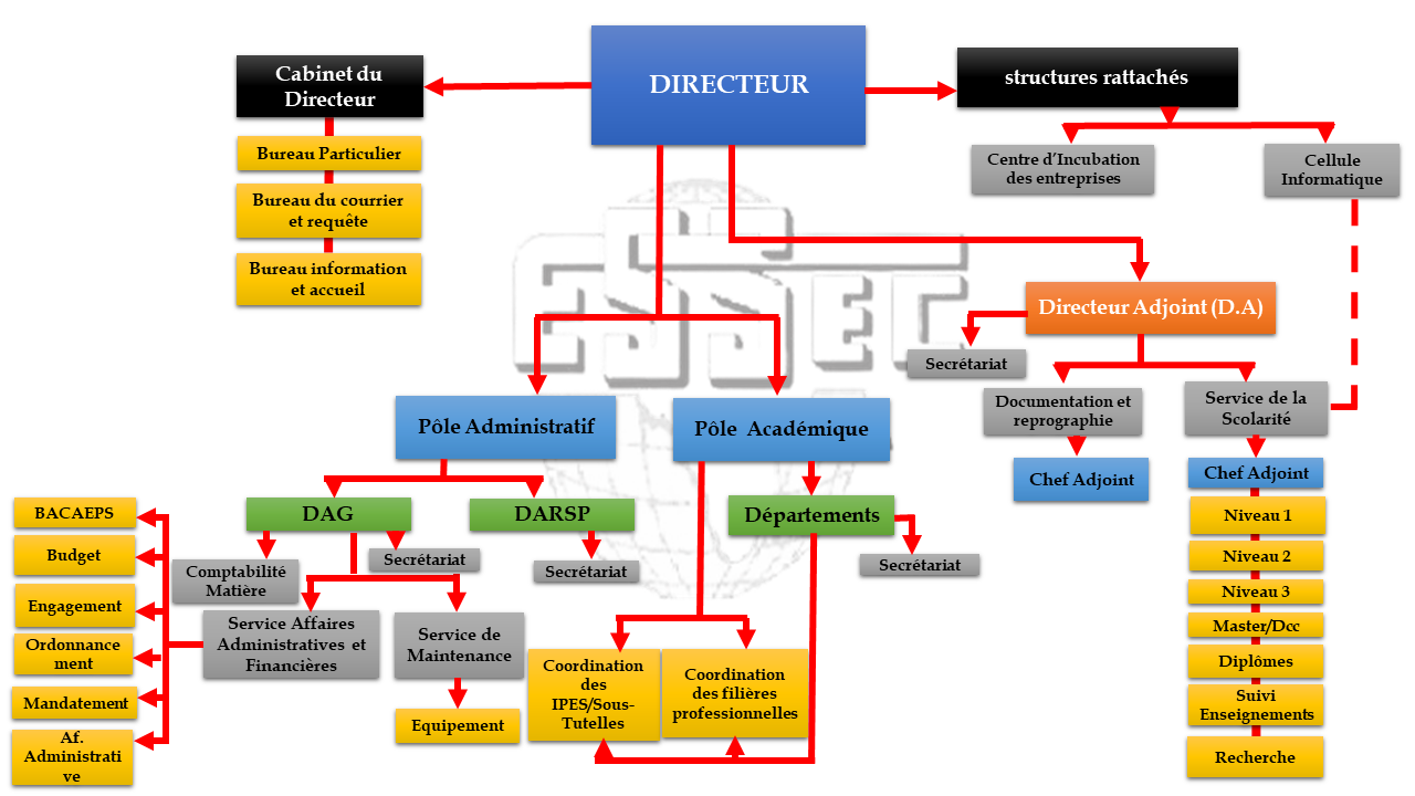 Organigramme-de-travail-ESSEC-DOUALA